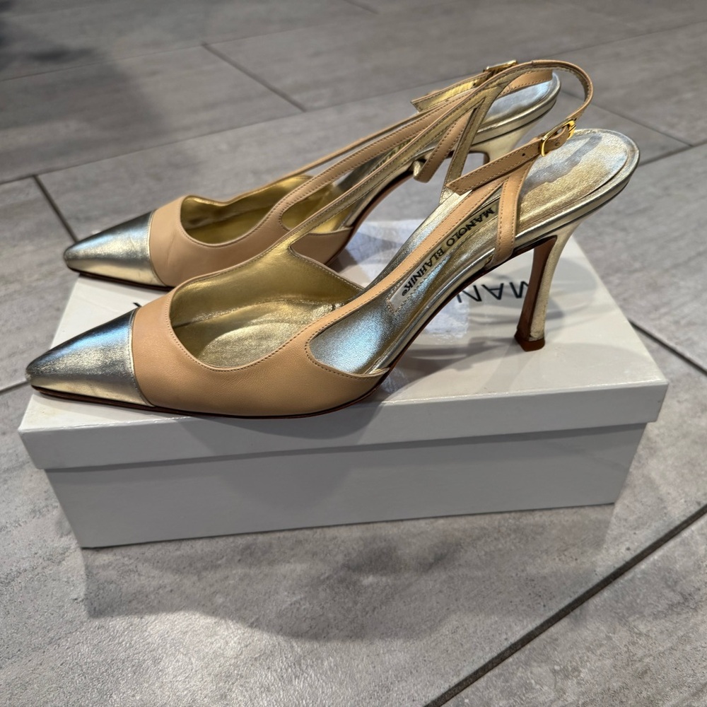 Manolo Blahnik Nude and Silver Pointed-Toe Slingback Heels